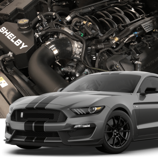 Hellion Sleeper Hidden Twin 62mm Turbo Tuner System (2015- 2020 Shelby ...